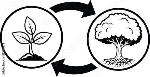 Vector line art icon showing plant growth cycle from seedling to mature tree with roots, connected by rotating arrows.