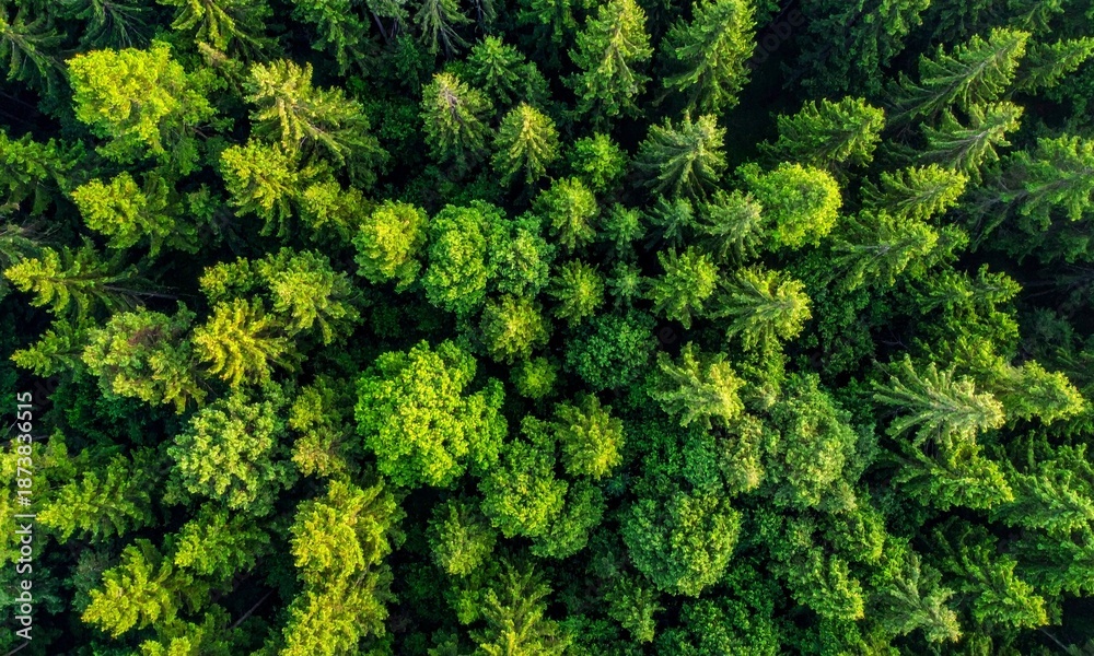 Fototapeta premium Hand Writing with Pencil on Paper Against a Sunset Landscape