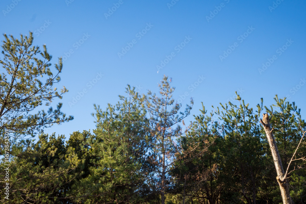 Obraz premium 日本の兵庫県赤穂市の雄鷹台山の美しい景色