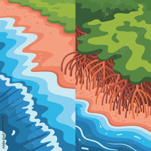 Split illustration showing a clear sandy coastline next to a coast protected by thick mangrove tree roots against the sea.