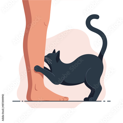 Playful black cat stands on its hind legs to scratch and rub against a person's leg in a gesture of affection and play.