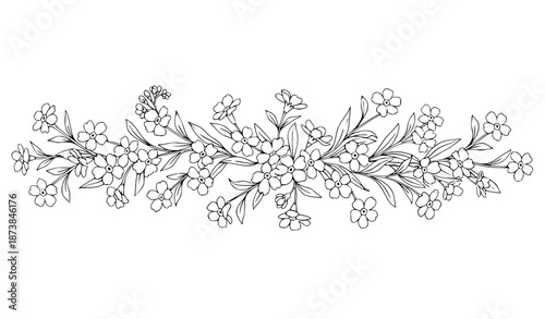 Hand drawn forget-me-not flower seamless border vector for romantic floral design