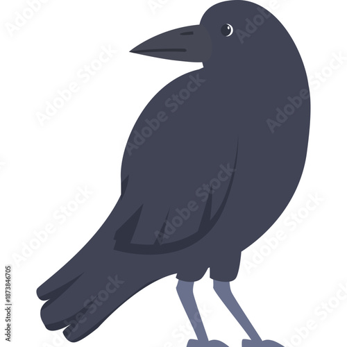 Photos Illustration of a dark gray crow with light blue legs