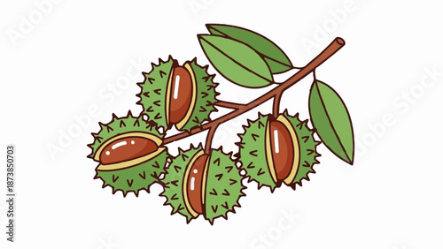 Green spiky husks with brown nuts on a brown branch with leaves