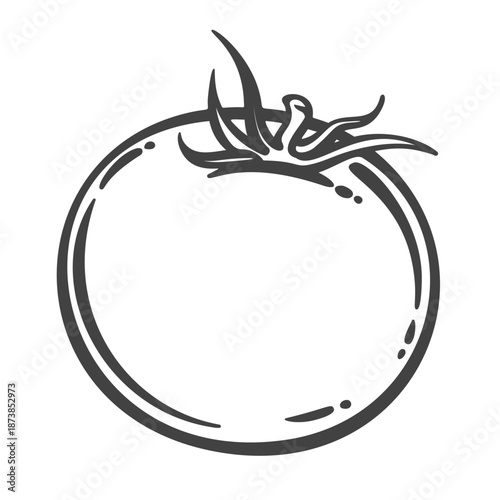 Tomato fruit with round shape, smooth skin and leafy stem. Fresh tomato produce, natural vegetable, botanical form. Outline monochrome engraving style, vintage line art. Vector illustration.