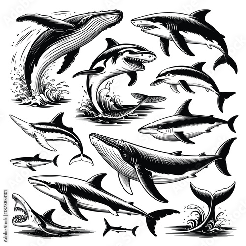 Serene Japanese zen garden components including miniature bonsai trees, a stone lantern, koi fish, and bamboo in a detailed black and white style.