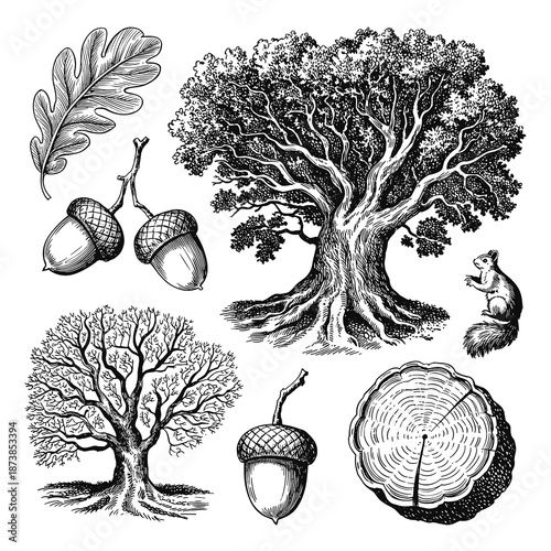 Vintage writing and correspondence set featuring a quill pen, inkwell, wax seal, glasses, and a rolled parchment scroll in woodcut style.