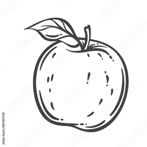 Apple fruit with rounded shape, smooth skin and attached leaf. Fresh apple produce, natural fruit, botanical form. Outline monochrome engraving style, vintage line art. Vector illustration.