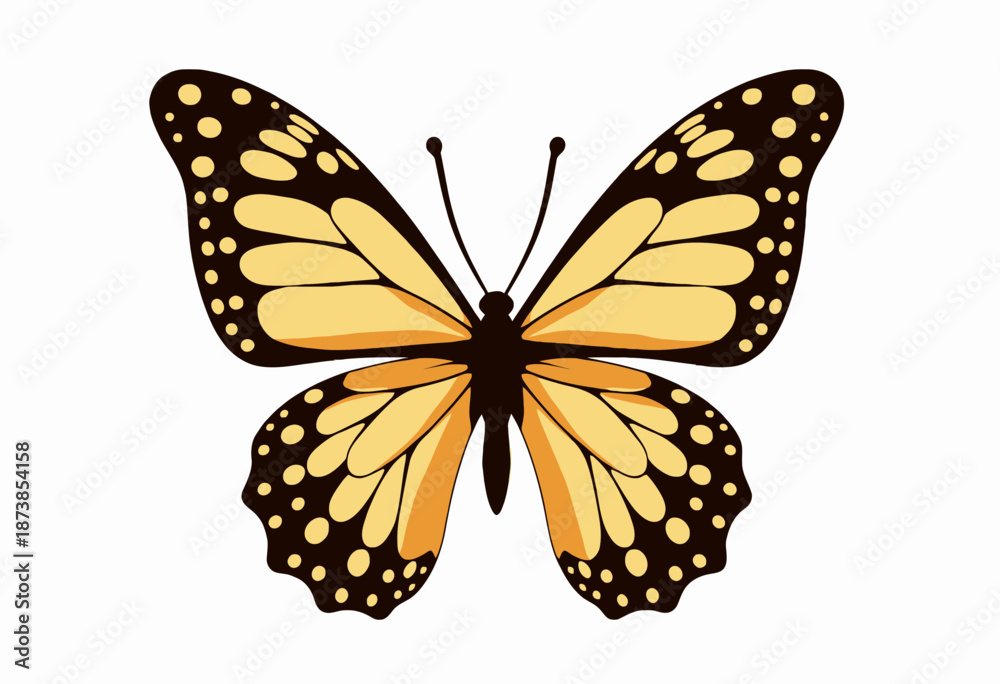 Fototapeta premium Illustration of a Vibrant Monarch Butterfly with Intricate Wing Patterns in Yellow and Black on a Clean White Background