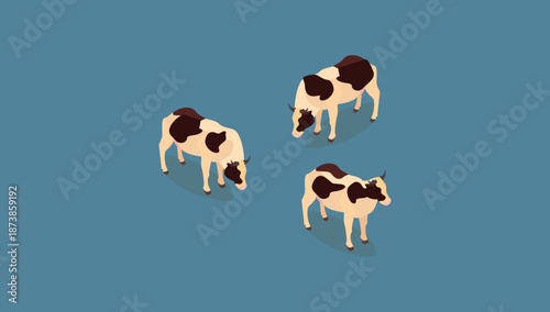 Three Isometric Cows Farm Animal Illustration Asset