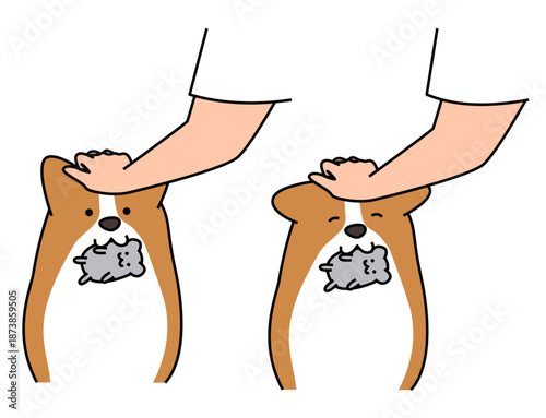 おもちゃをくわえて飼い主に頭を撫でられ喜ぶコーギーのイラスト