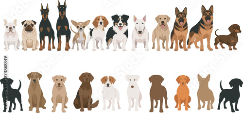Diverse Set of Purebred Dog Illustrations and Silhouettes Including German Shepherd Bulldog Doberman Beagle and Dachshund Isolated on White Background for Pet Industry Design