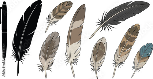 Big set of bird feathers design. fluffy swan. soft bird plumage set. Pen icons design. set of bird feathers design