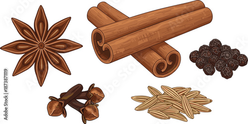 Assorted aromatic spices including cinnamon star anise cloves pepper and fennel isolated on white background flat vector illustration