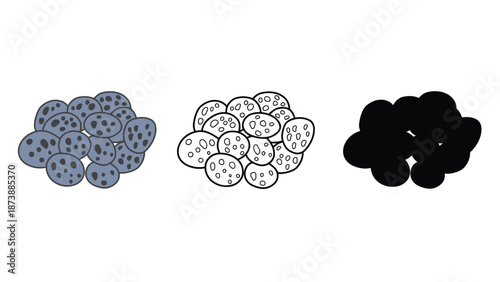 An illustration of cells in different stages of staining and microscopy