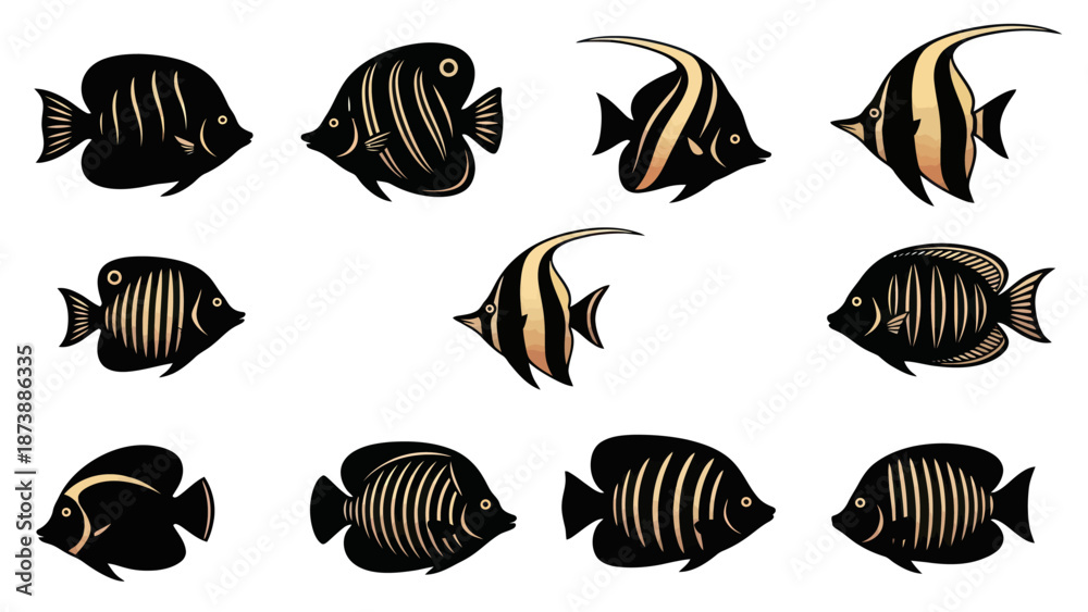 Fototapeta premium Adobe Illustrator Artwork