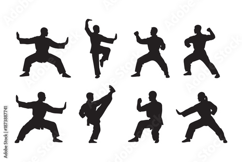 silhouette of wushu chinese kungfu pose