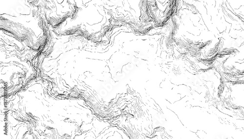 Detailed topographic map-like abstract pattern of contour lines and granular textures, suggesting mountainous terrain in monochrome