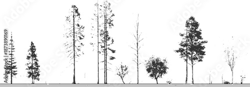 Collection of diverse tree silhouettes in black and white showcasing various species and heights from slender evergreens to broadleaf deciduous trees against a white background