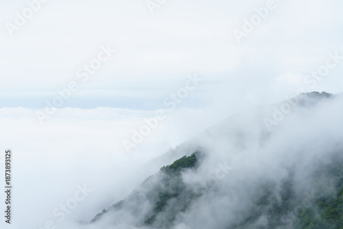 霧が覆う山
