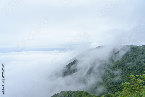 雲が覆う山