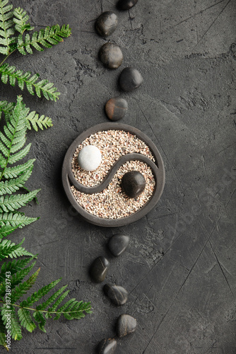 Canvas Print Zen Yin Yang Garden with Stones and Fern on Dark Background