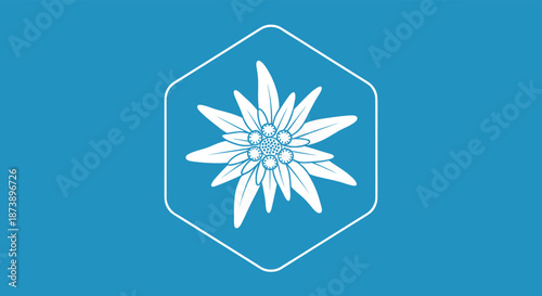 White outline icon of an edelweiss flower inside a hexagon frame on a blue background, symbolizing the Alps and natural beauty.
