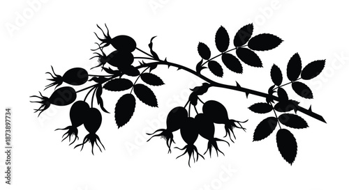 Black silhouette of a thorny rose hip branch with multiple berries and leaves, isolated on a white background for a natural design.