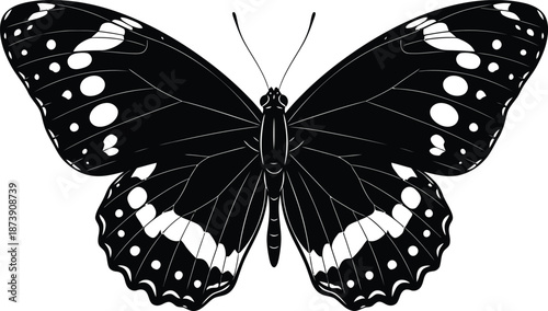 Elegant Butterfly Silhouette Illustration