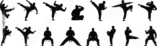 Martial arts silhouettes action set, karate taekwondo fighters kicking punching poses, combat sport training collection, isolated black warrior outline illustration