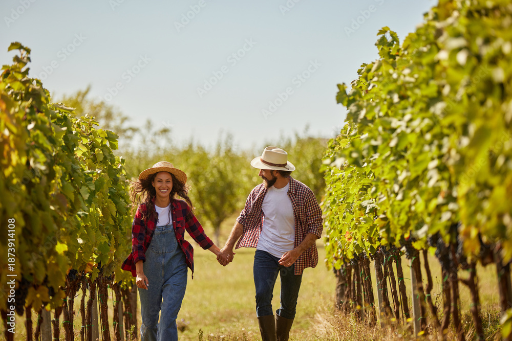 Fototapeta premium A couple walks hand in hand through a lush vineyard, smiling and sharing a moment of joy in the sun. They are surrounded by rows of green vines ready for harvest.