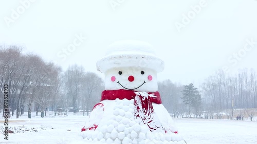 Snowman in a Snowy Field