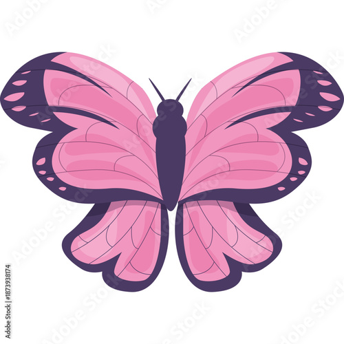 Pink Butterfly Illustration