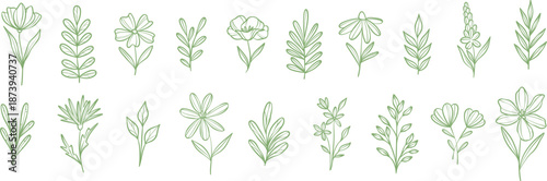 Botanical doodles vector tiny flowers and plants line art illustration clip art set