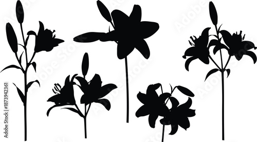 Black silhouette set featuring various lily flower stages including long stems with buds, full blossoms, elegant petals, and garden lilies