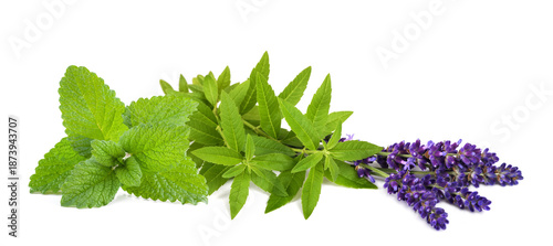 Lemon verbena lemon balm and lavender