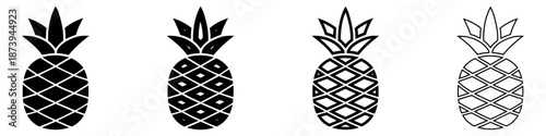 Pineapple icon. Tropical fruit pineapple with detailed skin texture: four style variations, including black silhouette and outline lines. Vector illustration.