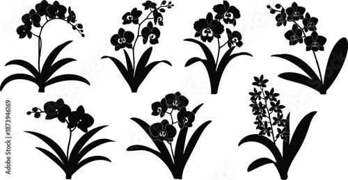 Black silhouette set featuring various orchid flower stages including long stems with multiple blossoms, detailed petals, and exotic garden plants