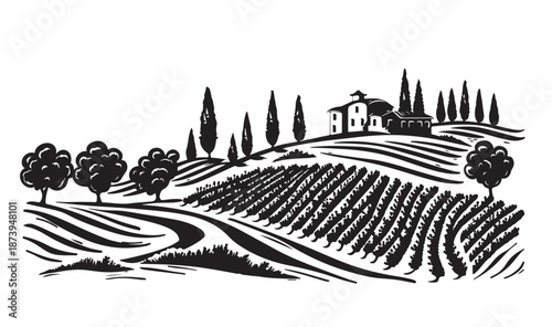 Vineyard landscape, hand drawn illustrations,  Sketch.	
