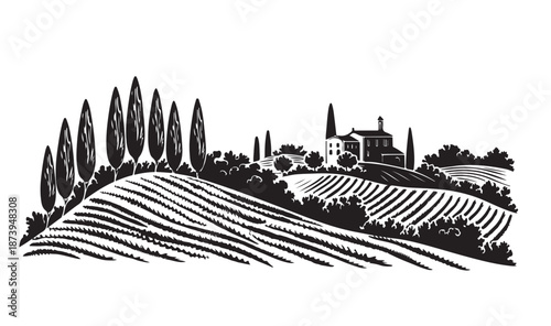 Vineyard landscape, Sketch on white, hand drawn illustrations.	

