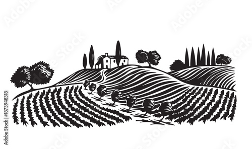 Vineyard landscape, Sketch. Hand drawn illustrations, 