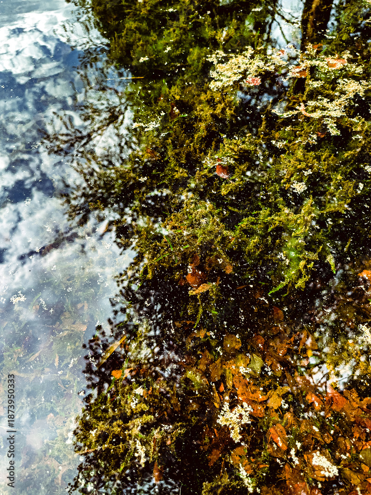 Obraz premium Serene river reflecting blue sky with lush greenery, mossy rocks, and nature landscape. High quality photo