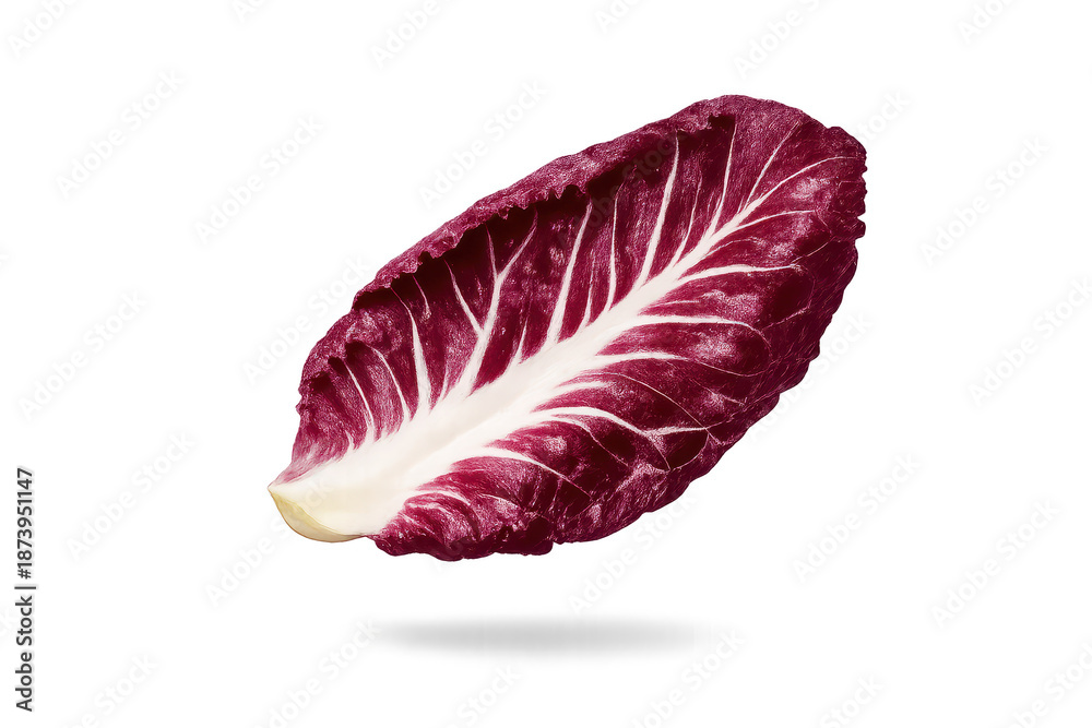 Fototapeta premium Radicchio leaf, close-up, isolated on a transparent background image.