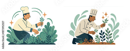 Male chef nurturing herb garden illustration
