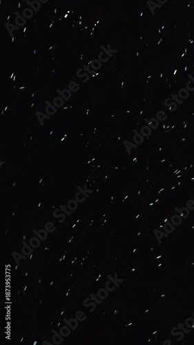 snow flakes slowly falling densely against black background. White snow overlay layer on black background, Real snow snowing on black background in cold winter season. Vertical