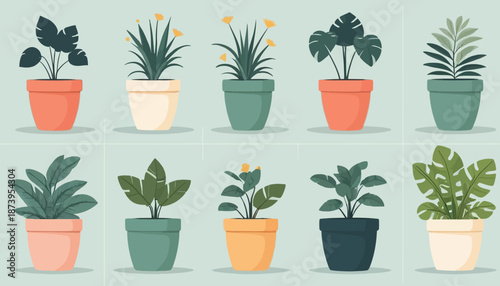 vector of plant on the pot
