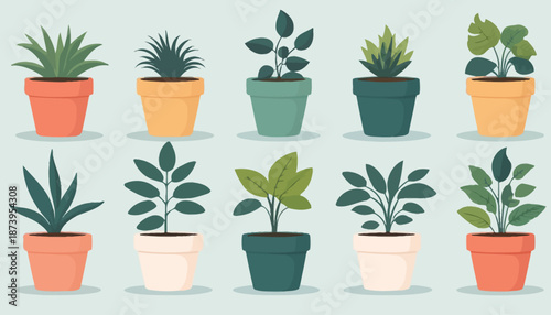 vector of plant on the pot