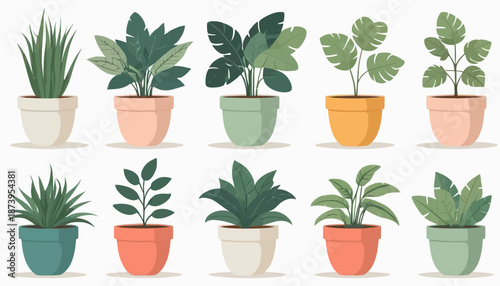 vector of plant on the pot