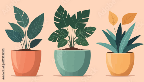 vector of plant on the pot