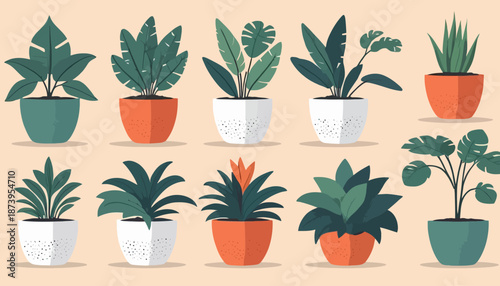vector of plant on the pot